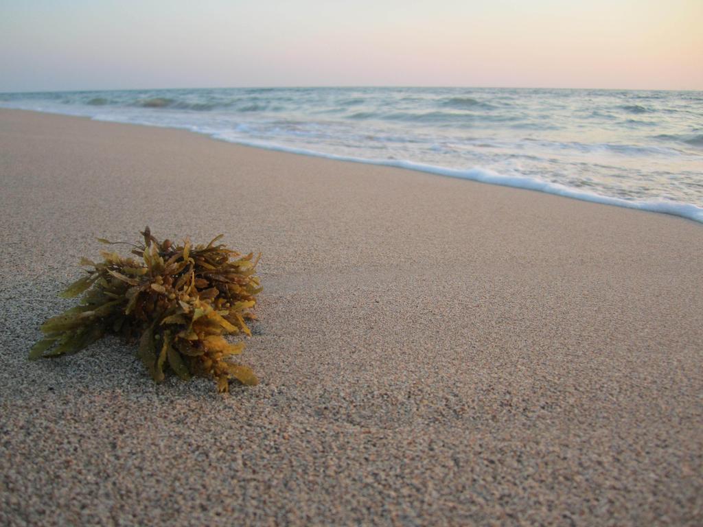 Lanta Il Mare Beach Resort Ко-Ланта Экстерьер фото